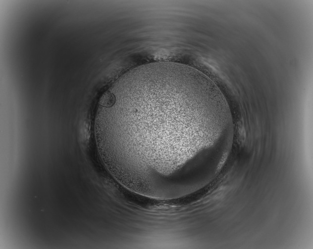 X0000090490691200707201537