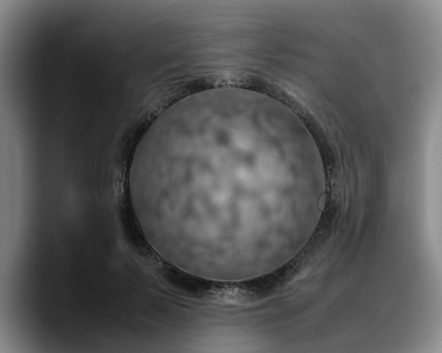 X0000090490695200707201537