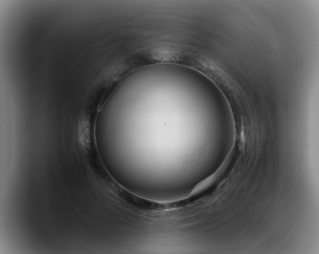 X0000090490696200707201537