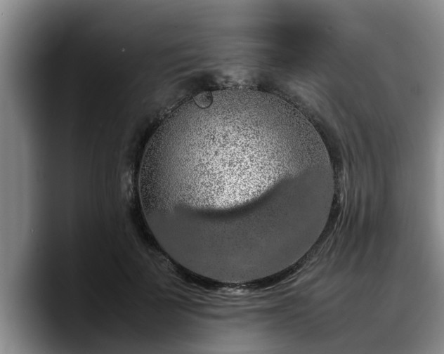 X0000090490699200707201537