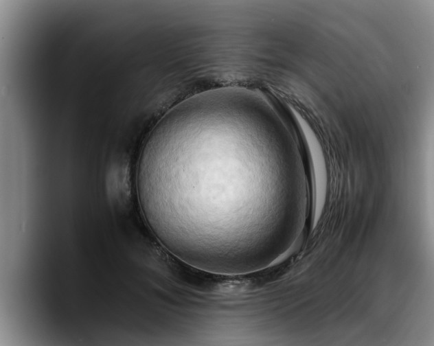 X0000090490700200707201537