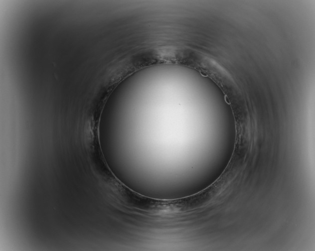 X0000090490702200707201537
