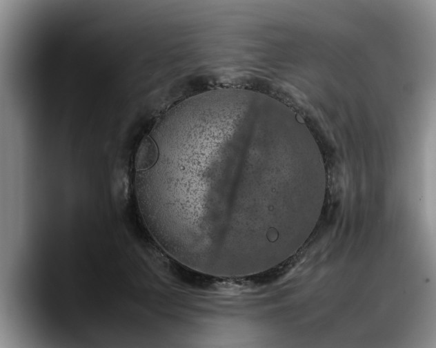 X0000090490703200707201537