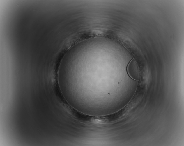 X0000090490706200707201537