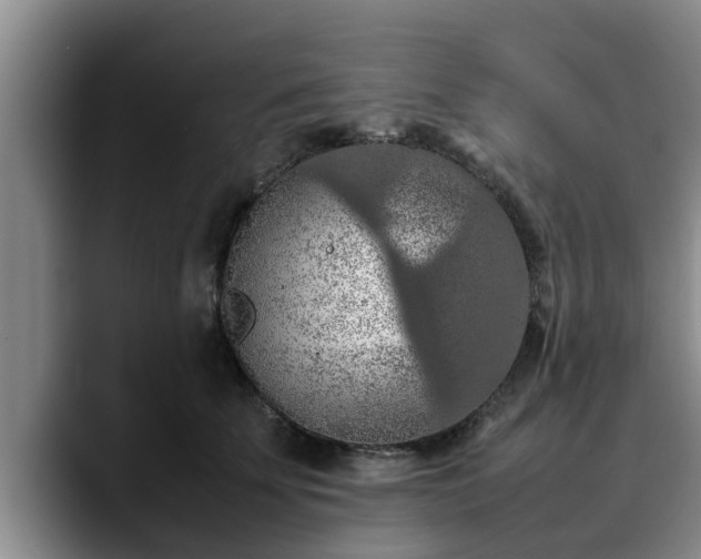 X0000090490707200707201537