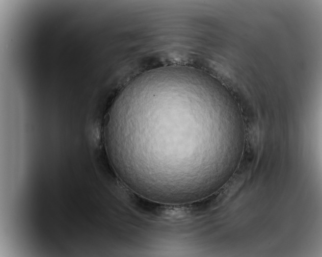 X0000090490709200707201537