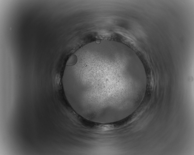 X0000090490711200707201537