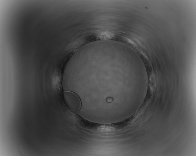 X0000090490714200707201537