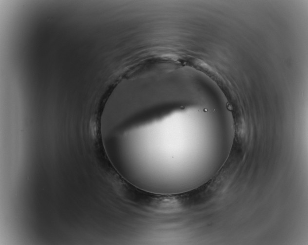 X0000090490715200707201537
