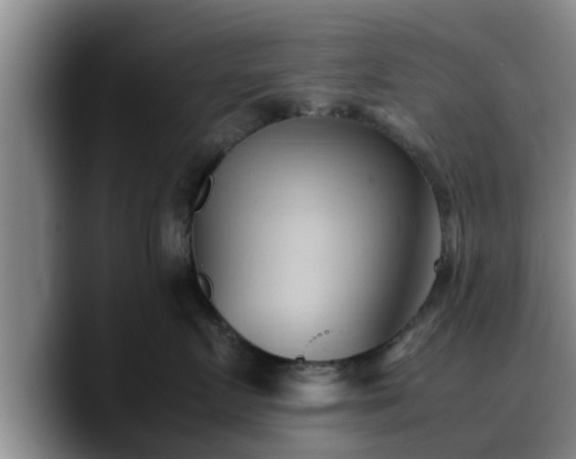 X0000090490719200707201537