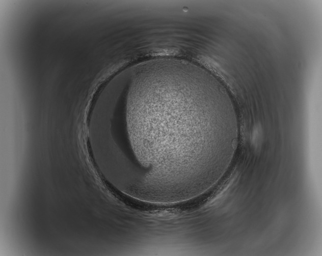 X0000090490721200707201537