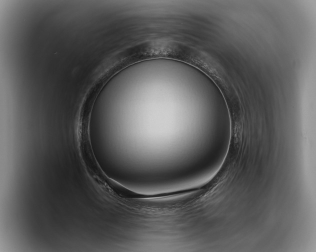 X0000090490722200707201537