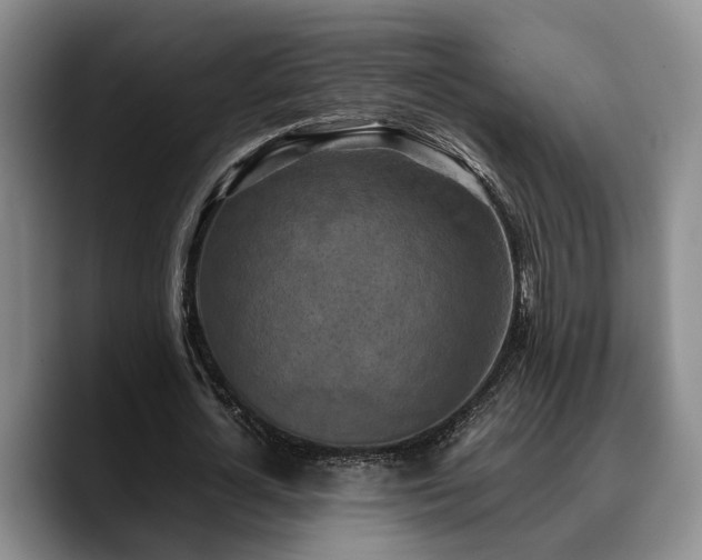 X0000090490724200707201537