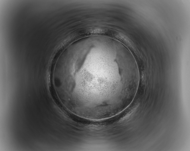X0000090490725200707201537