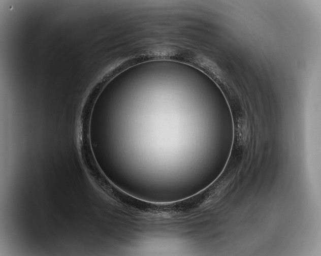 X0000090490726200707201537