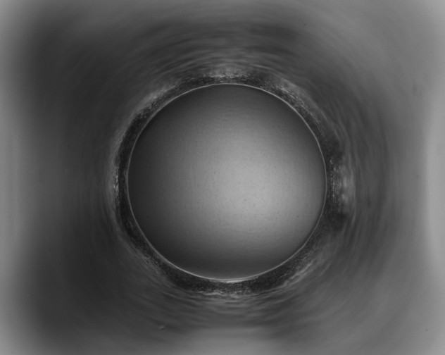 X0000090490727200707201537