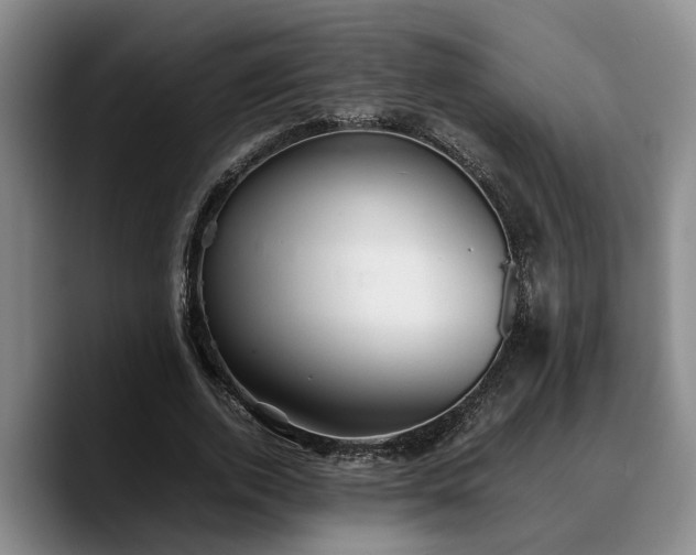 X0000090490728200707201537