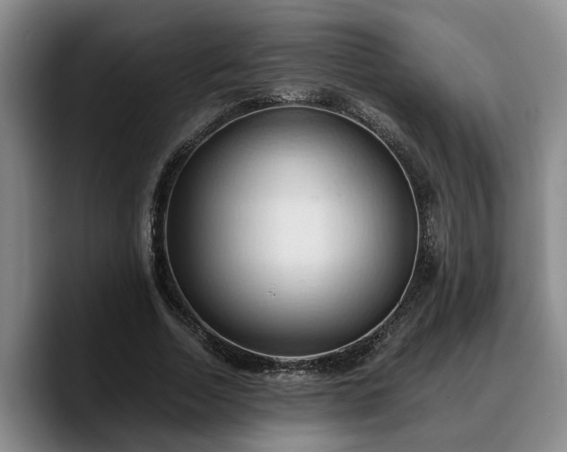 X0000090490730200707201537