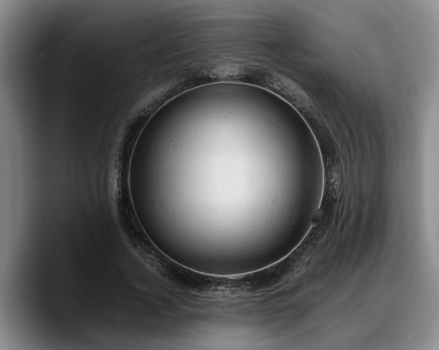 X0000090490732200707201537