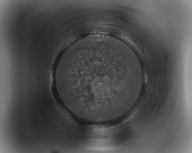 X0000090490733200707201537