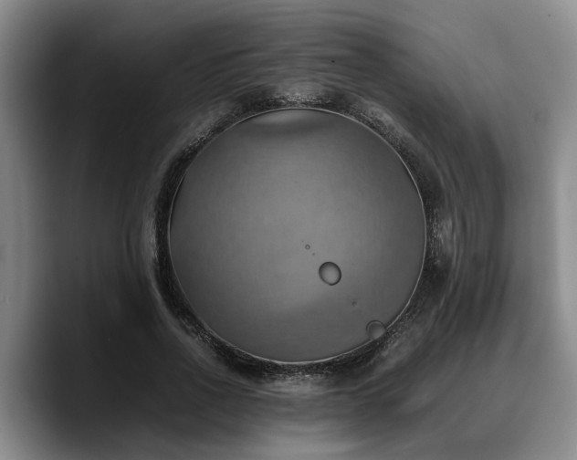 X0000090490734200707201537