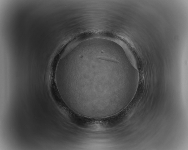 X0000090490736200707201537