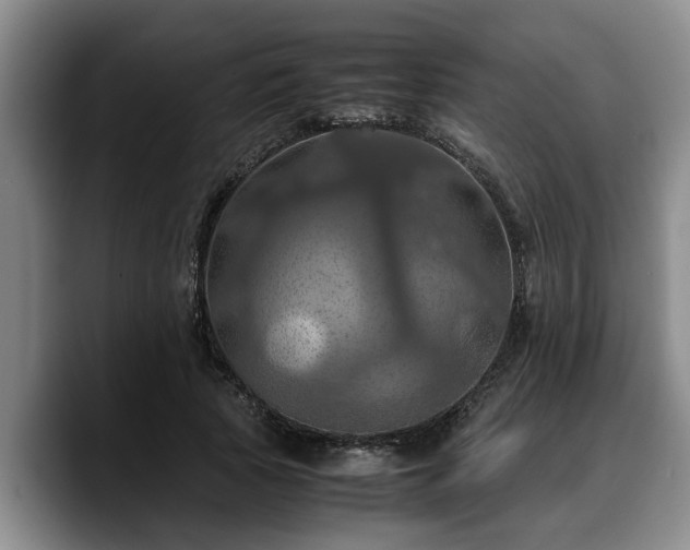 X0000090490737200707201537
