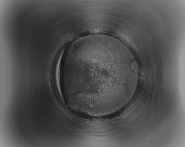 X0000090490738200707201537