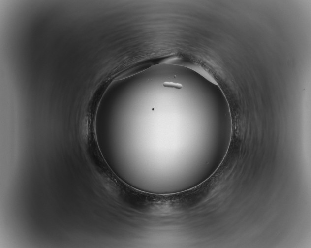 X0000090490740200707201537