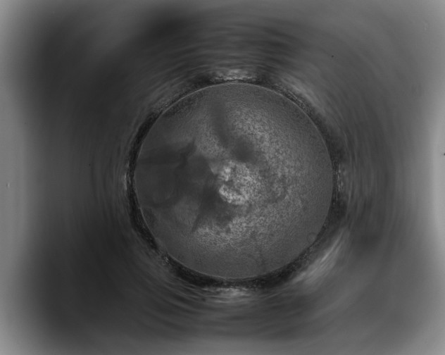 X0000090490741200707201537