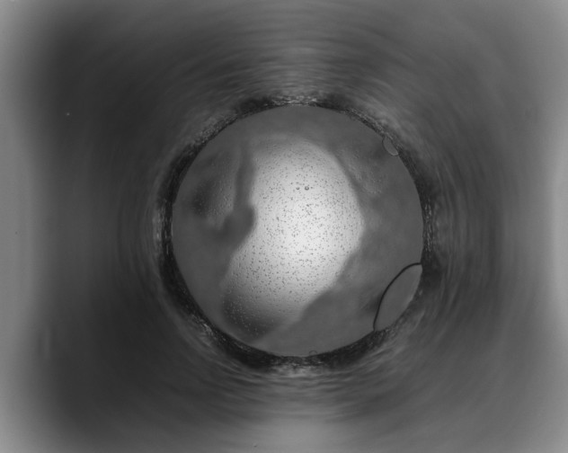 X0000090490742200707201537