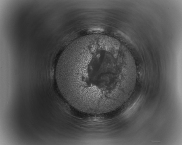 X0000090490745200707201537