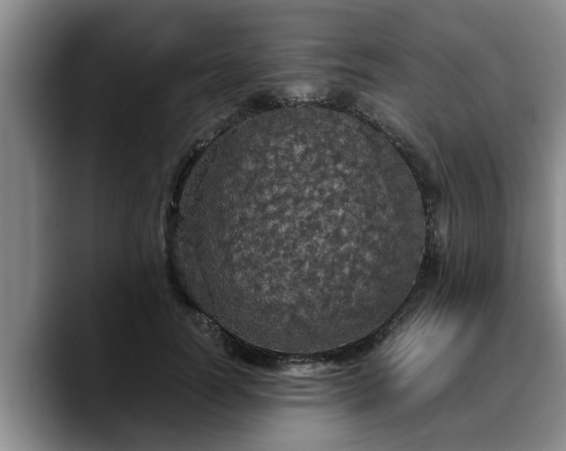 X0000090490746200707201537