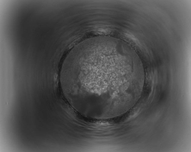 X0000090490749200707201537