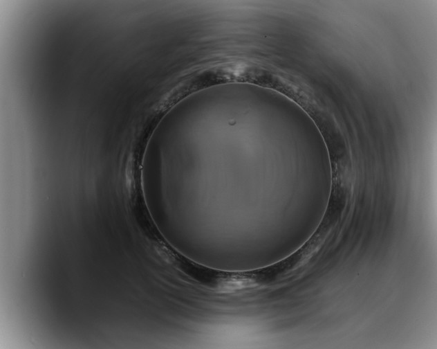 X0000090490754200707201537
