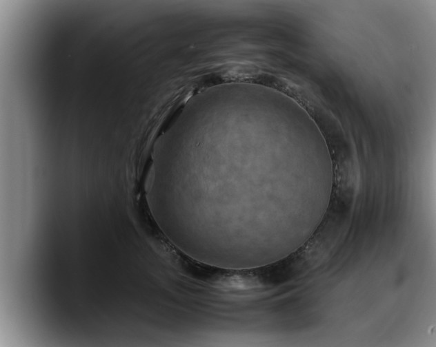 X0000090490755200707201537