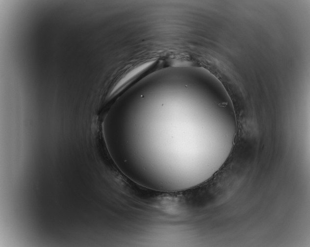 X0000090490756200707201537