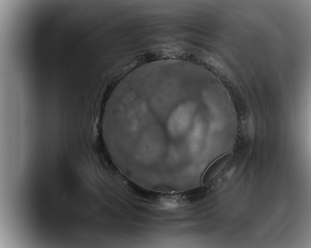 X0000090490757200707201537
