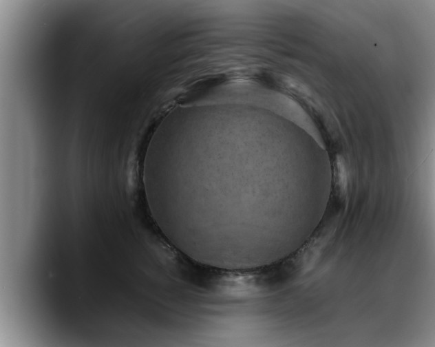 X0000090490760200707201537