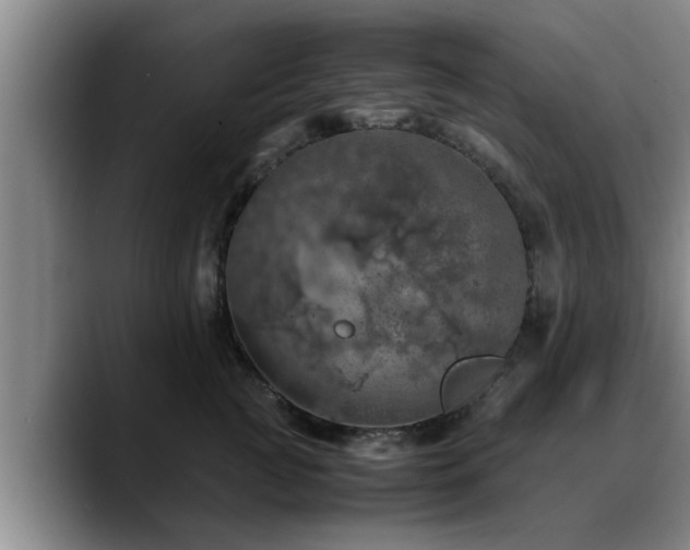 X0000090490761200707201537