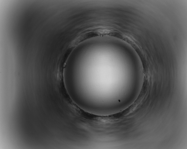 X0000090490763200707201537