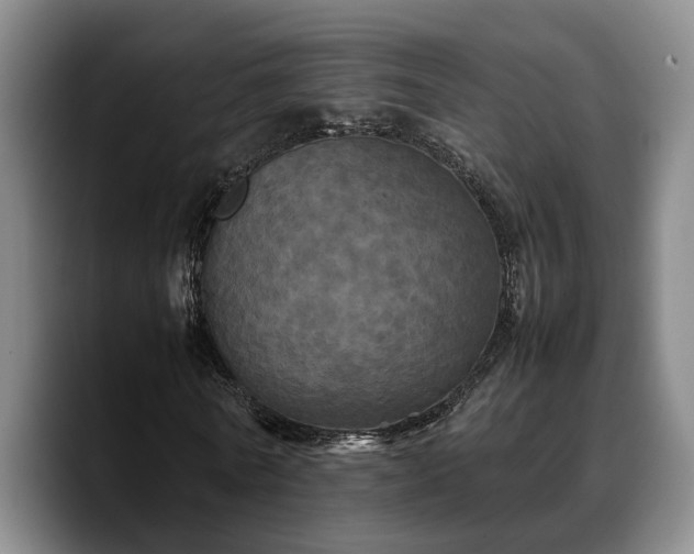 X0000090490770200707201536