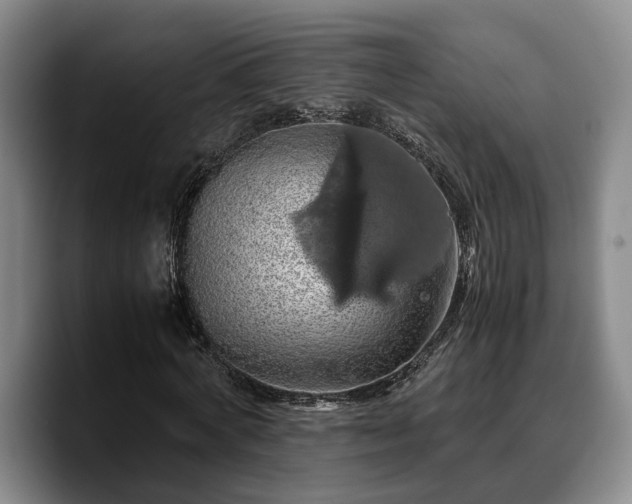 X0000090490772200707201536