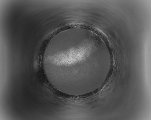 X0000090490775200707201536