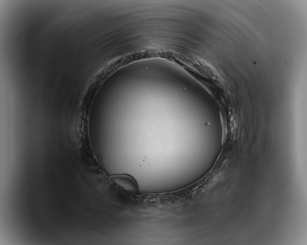 X0000090490776200707201536