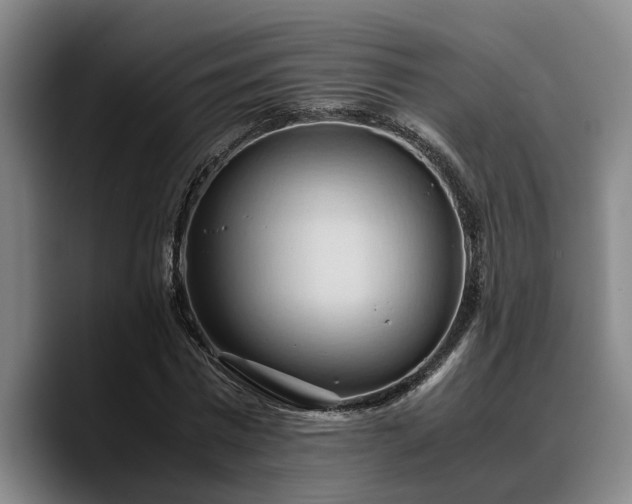 X0000090490777200707201536