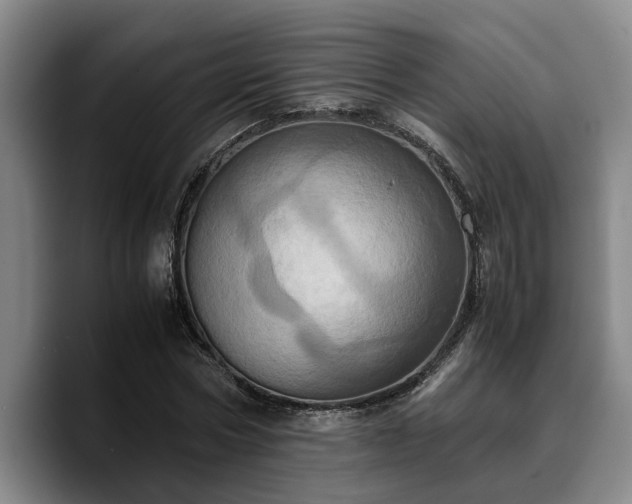 X0000090490778200707201536