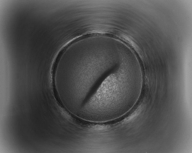 X0000090490779200707201536