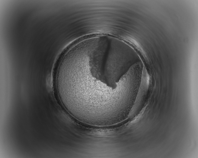X0000090490780200707201536