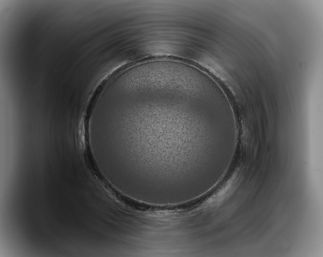 X0000090490782200707201536